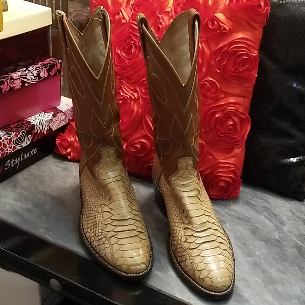 Dan Post Python - image 1